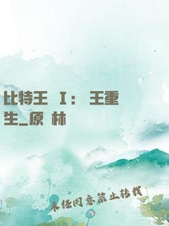 比特王國Ⅰ: 國王重生